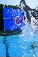 PRO POOLSIDE HOOPS