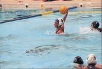 WATER POLO EAR GUARDS