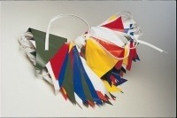 BACKSTROKE FLAGS